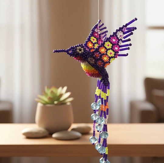 Colibri perlé pêche