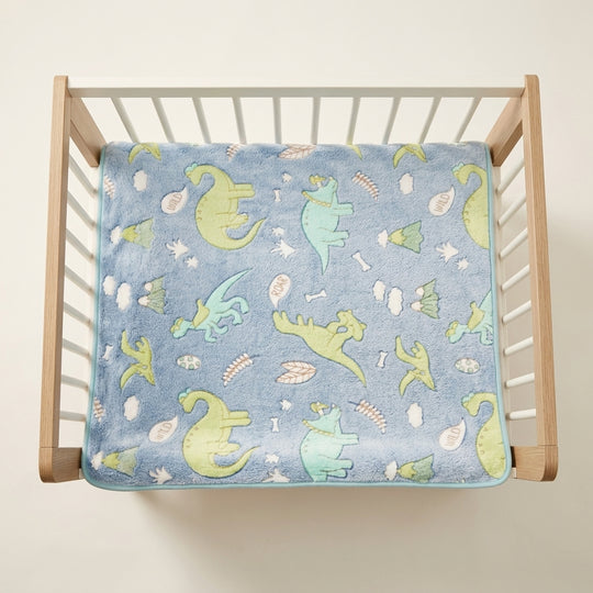 Cute Dinosaurs baby blankets
